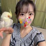 ヒメ日記 2025/07/30 01:00 投稿 牧村優里 ハールブルク