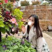 ヒメ日記 2025/11/19 10:30 投稿 牧村優里 ハールブルク