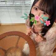 ヒメ日記 2026/06/29 07:01 投稿 牧村優里 ハールブルク