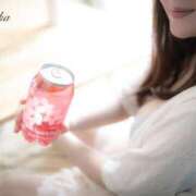 ヒメ日記 2024/12/14 16:32 投稿 優花 シャトーペトラ