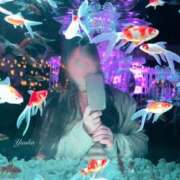 ヒメ日記 2025/04/20 13:30 投稿 優花 シャトーペトラ