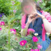 ヒメ日記 2025/05/29 13:15 投稿 優花 シャトーペトラ