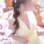 ヒメ日記 2025/08/25 14:45 投稿 優花 シャトーペトラ