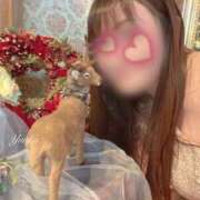 ヒメ日記 2025/11/07 16:15 投稿 優花 シャトーペトラ