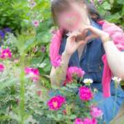 ヒメ日記 2025/11/18 16:45 投稿 優花 シャトーペトラ