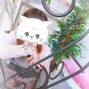 ヒメ日記 2025/05/03 14:50 投稿 みちる ドッチパイモミ 越谷店