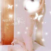 ヒメ日記 2025/07/27 10:10 投稿 みちる ドッチパイモミ 越谷店