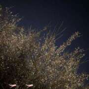 ヒメ日記 2025/03/07 11:52 投稿 ここ 鶯谷おかあさん