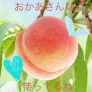 ヒメ日記 2025/03/11 09:07 投稿 ここ 鶯谷おかあさん