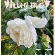 ヒメ日記 2025/05/14 11:00 投稿 ここ 鶯谷おかあさん