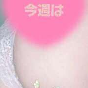 ヒメ日記 2025/09/13 21:39 投稿 ここ 鶯谷おかあさん