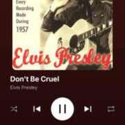 ヒメ日記 2025/01/23 18:40 投稿 おとは 脱がされたい人妻 木更津店