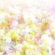 ヒメ日記 2025/04/02 00:02 投稿 令美(れみ) グランドオペラ横浜