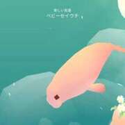 ヒメ日記 2026/02/19 20:34 投稿 らん 新感覚恋活ソープもしも彼女が○○だったら・・・福岡中州本店