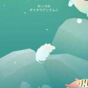 ヒメ日記 2026/02/24 00:02 投稿 らん 新感覚恋活ソープもしも彼女が○○だったら・・・福岡中州本店