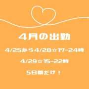 ヒメ日記 2025/03/28 17:15 投稿 しらす バイオレンス