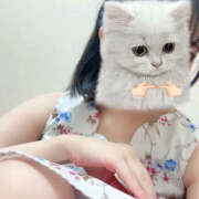 ヒメ日記 2025/06/16 17:09 投稿 しらす バイオレンス