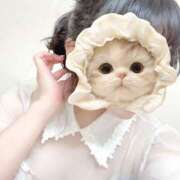 ヒメ日記 2025/06/17 17:06 投稿 しらす バイオレンス