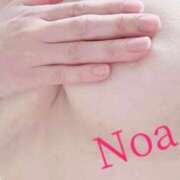 ヒメ日記 2024/12/21 13:56 投稿 のあ先生 渋谷   大人の幼稚園