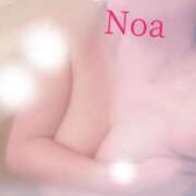 ヒメ日記 2024/12/28 11:16 投稿 のあ先生 渋谷   大人の幼稚園