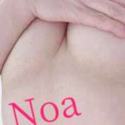 ヒメ日記 2025/01/12 12:19 投稿 のあ先生 渋谷   大人の幼稚園