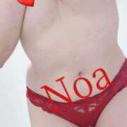 ヒメ日記 2025/01/12 12:46 投稿 のあ先生 渋谷   大人の幼稚園