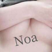 ヒメ日記 2025/03/16 10:36 投稿 のあ先生 渋谷   大人の幼稚園