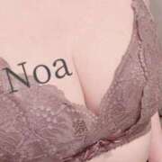 ヒメ日記 2025/03/23 14:22 投稿 のあ先生 渋谷   大人の幼稚園