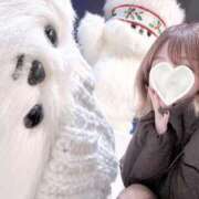 ヒメ日記 2025/03/02 16:26 投稿 まりか 東京妻next (京都グループ)