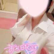 ヒメ日記 2025/04/23 22:35 投稿 はな if(イフ) 中村店