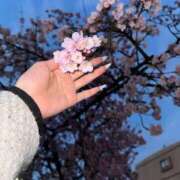 ヒメ日記 2026/04/03 19:22 投稿 るる if(イフ) 中村店