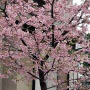 ヒメ日記 2026/05/03 16:19 投稿 さやか 上野デリヘル倶楽部