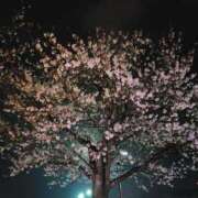 ヒメ日記 2026/05/06 11:04 投稿 さやか 上野デリヘル倶楽部