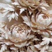 ヒメ日記 2025/11/05 19:50 投稿 りく AFTER V（アフターファイブ）