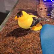 ヒメ日記 2025/12/23 17:34 投稿 眞鍋つゆり☆思わず顔が綻ぶ。 ESTE ALLURE