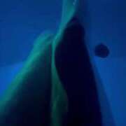 ヒメ日記 2025/03/15 11:57 投稿 ふぶき 黒い金魚（札幌）