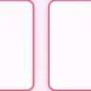 ヒメ日記 2025/04/27 19:27 投稿 ふぶき 黒い金魚（札幌）