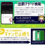 ヒメ日記 2025/11/26 23:00 投稿 ふぶき 黒い金魚（札幌）