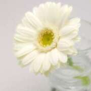 ヒメ日記 2024/12/20 20:58 投稿 あい 札幌回春性感マッサージ倶楽部