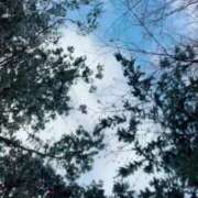 ヒメ日記 2025/01/29 08:28 投稿 あい 札幌回春性感マッサージ倶楽部