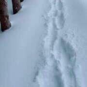 ヒメ日記 2025/01/30 08:48 投稿 あい 札幌回春性感マッサージ倶楽部