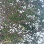 ヒメ日記 2025/02/27 08:38 投稿 あい 札幌回春性感マッサージ倶楽部