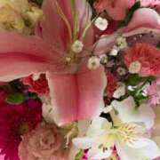 ヒメ日記 2025/03/24 08:58 投稿 あい 札幌回春性感マッサージ倶楽部