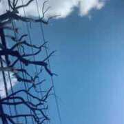 ヒメ日記 2025/03/29 10:58 投稿 あい 札幌回春性感マッサージ倶楽部