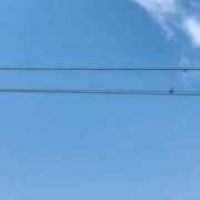 ヒメ日記 2025/04/07 08:48 投稿 あい 札幌回春性感マッサージ倶楽部