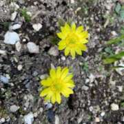 ヒメ日記 2025/04/07 22:59 投稿 あい 札幌回春性感マッサージ倶楽部