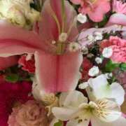 ヒメ日記 2025/04/13 21:08 投稿 あい 札幌回春性感マッサージ倶楽部