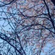 ヒメ日記 2025/05/01 08:31 投稿 あい 札幌回春性感マッサージ倶楽部