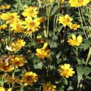 ヒメ日記 2025/05/05 05:08 投稿 あい 札幌回春性感マッサージ倶楽部