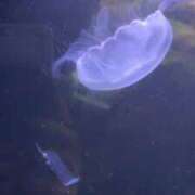 ヒメ日記 2025/05/05 23:08 投稿 あい 札幌回春性感マッサージ倶楽部